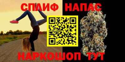мяу мяу мука Нальчик